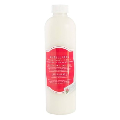 Hey Gorgeous Rebellious Mane Tamer 2-in-1 Shampoo & Conditioner