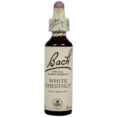 Bach Flower Remedy White Chestnut