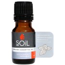 Soil Organic Spearmint Essential Oil