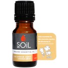 Soil Organic Coriander Seed Essential Oil