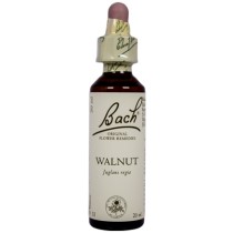 Bach Flower Remedy Walnut