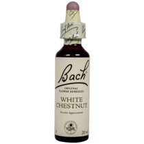 Bach Flower Remedy White Chestnut