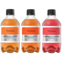 Theonista Fruity Rooibos Lover Bundle